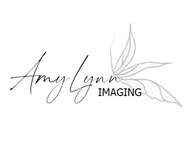 Amy Lyn Photography